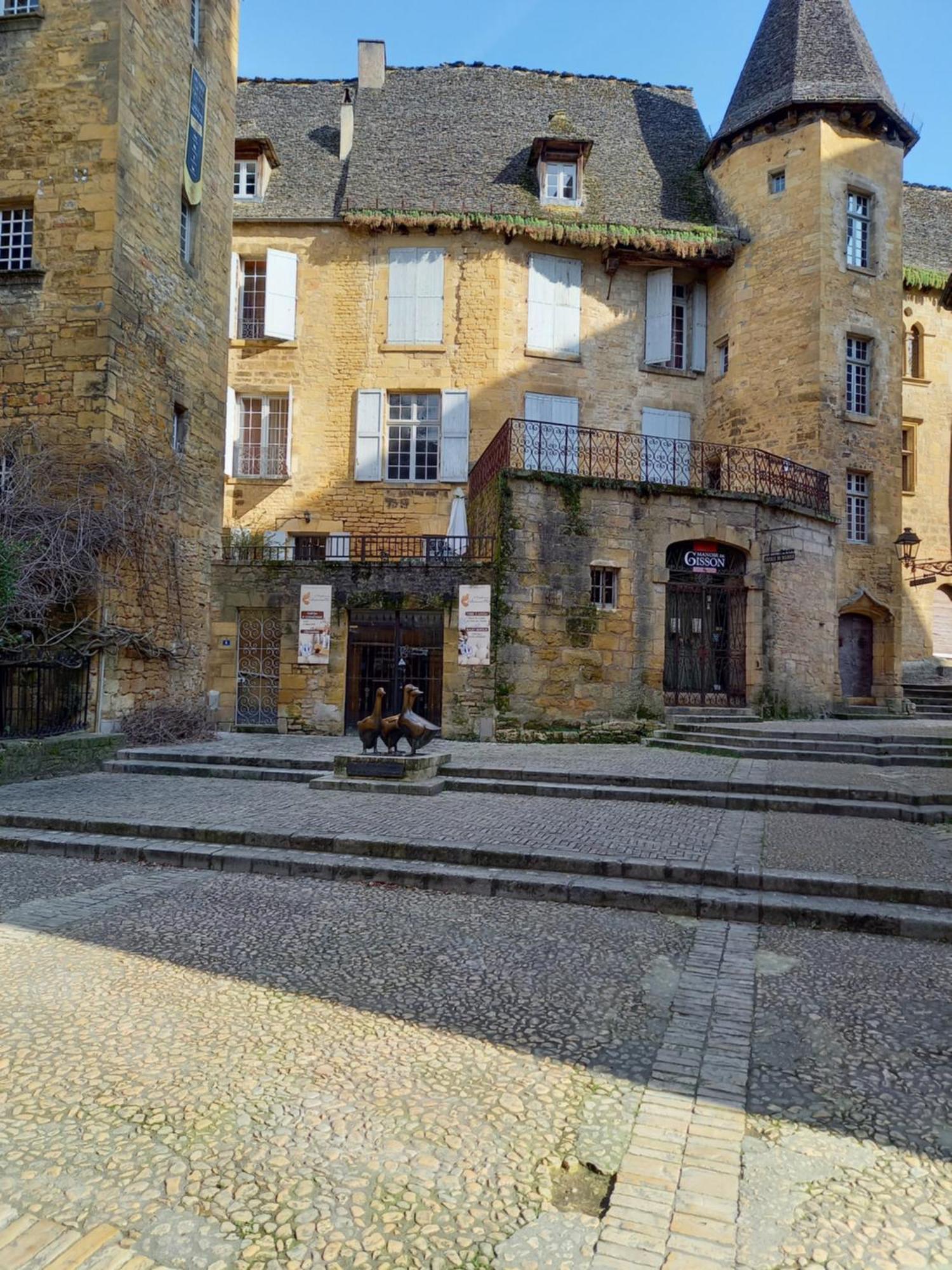 Appartement Centre Medieval Le Boudoir De Marie 萨尔拉拉卡内达 外观 照片